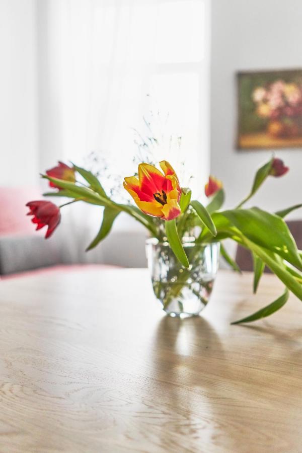 New And Lovely Apartament In Vilnius City Centre Eksteriør billede